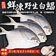 贈雞腿【海陸管家】鮮嫩野生白鯧魚3尾(每尾220g-280g) product thumbnail 1