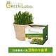 【2入組】GREEN Labo-日本DIY新鮮貓草(購買第二件贈送寵物零食x1包) product thumbnail 1