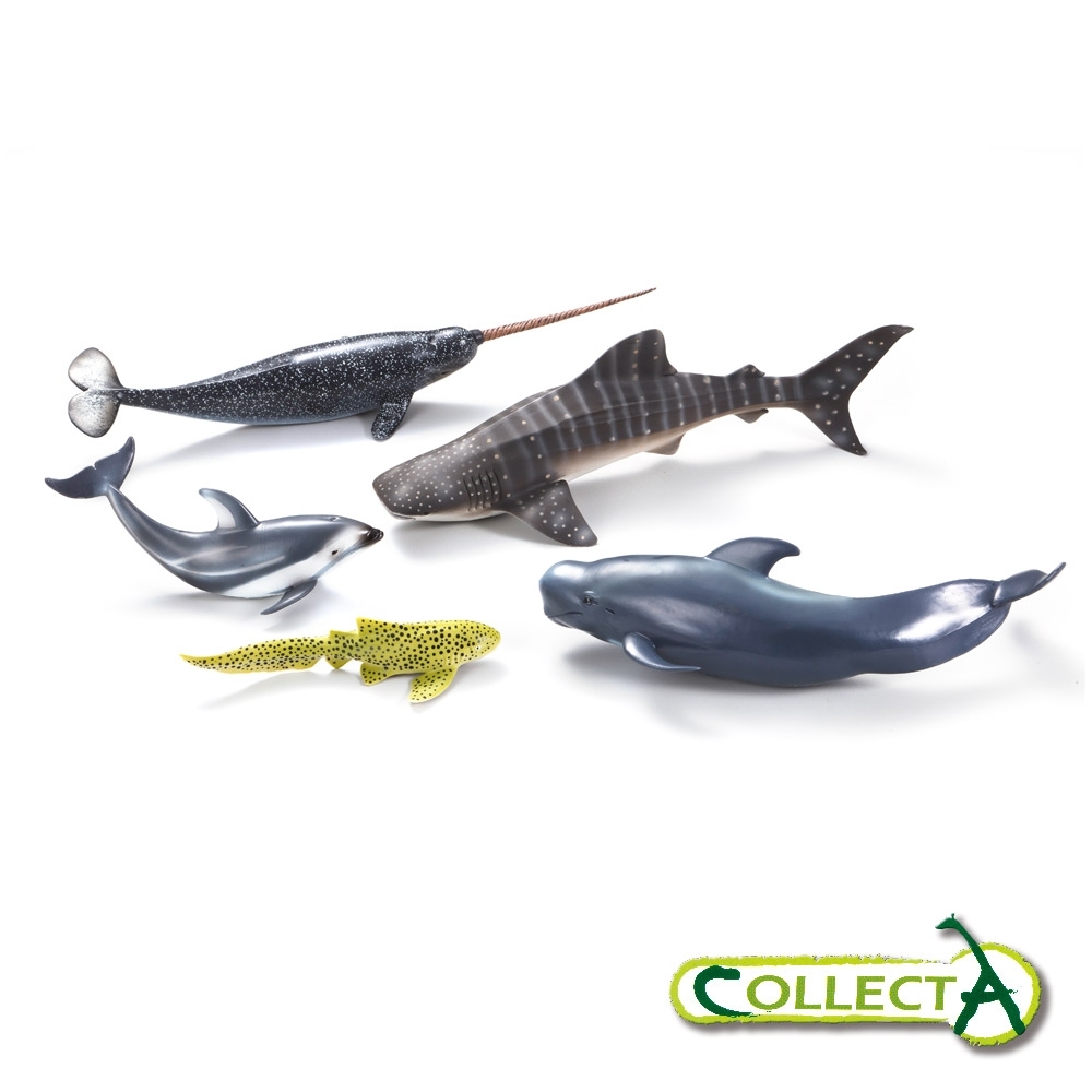 collectA 海洋動物禮盒組(5入)~英國高擬真模型R89671