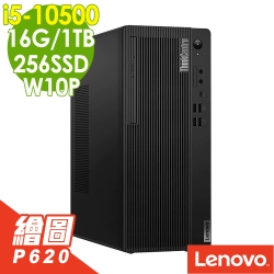 Lenovo M70t 10代繪圖商用電腦 i5-10500/16G/256SSD+1TB/P620 2G/W10P