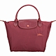 [法國精品包限定] LONGCHAMP Le Pliage 奔馬刺繡小型水餃包-多色可選 product thumbnail 6