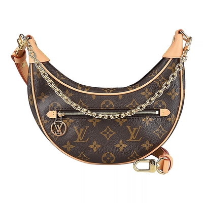 LV Loop Hobo ( M46311) Bag organizer