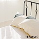 TENDAYS 健康防蹣枕套 單入 product thumbnail 1