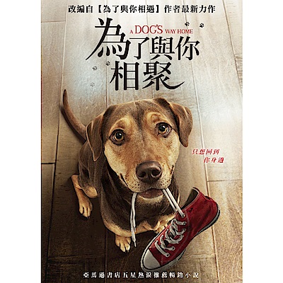 為了與你相聚 DVD