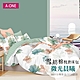 A-ONE 雪紡棉枕套床包組(單人/雙人/加大 多款任選 可包覆床墊高度30公分) product thumbnail 14