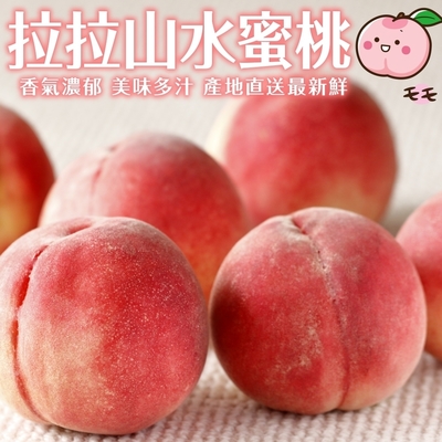 【果農直配】拉拉山水蜜桃8入禮盒2盒(每顆110-140g)