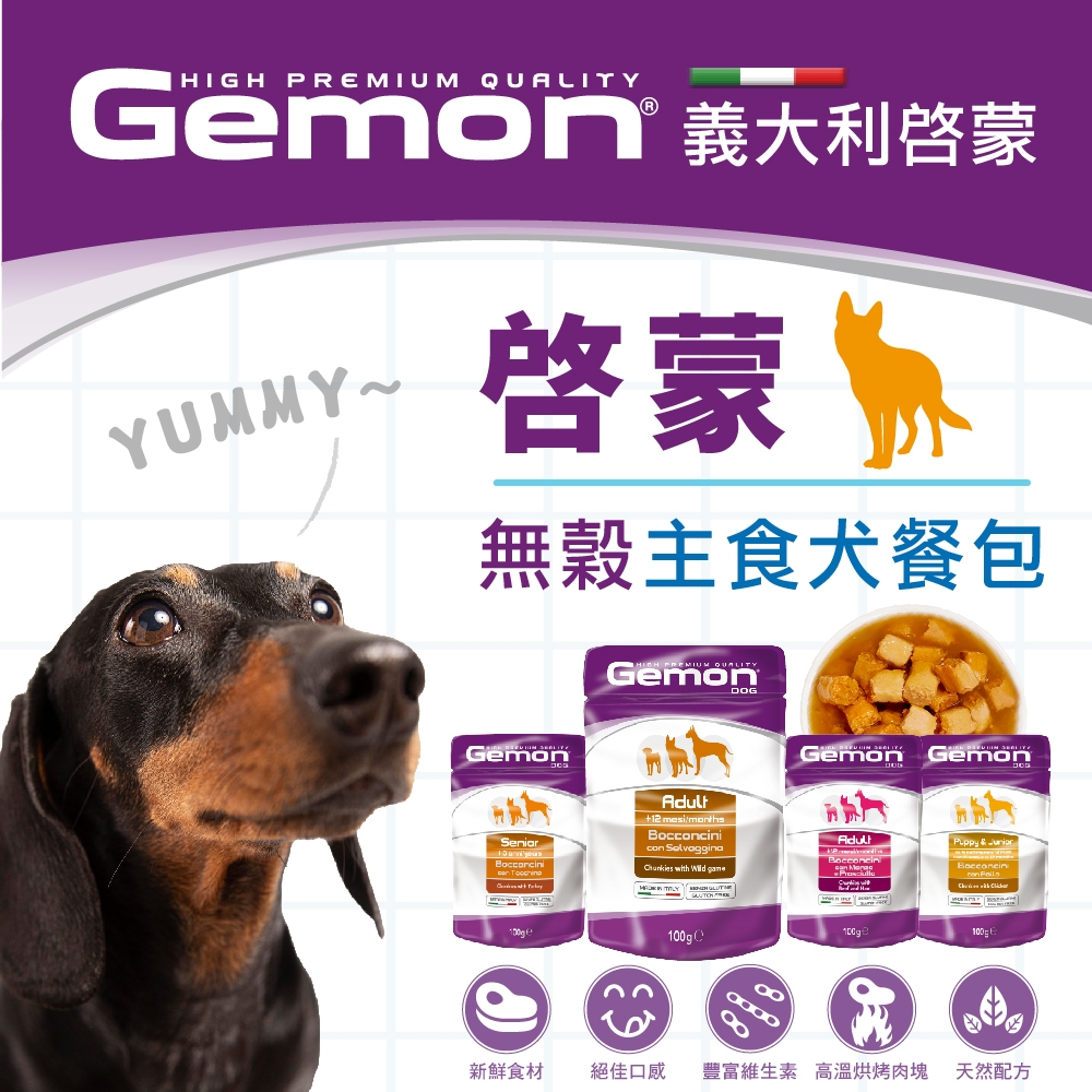 【Gemon啟蒙】義大利啟蒙犬主食餐包100g(6入)