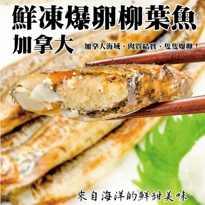 【海陸管家】加拿大鮮凍爆卵柳葉魚6包(每包200g/約9-13尾)