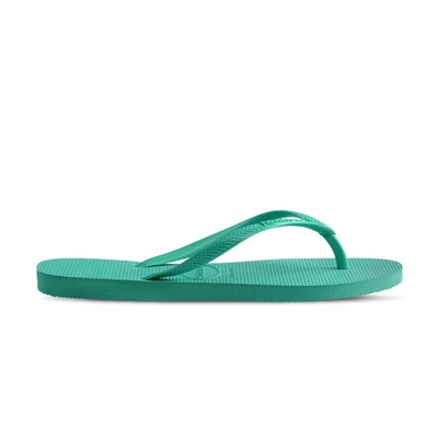 Havaianas Slim 女鞋 綠色 哈瓦仕 舒適 百搭 細帶 夾腳拖 人字拖 拖鞋 4000030-1829W