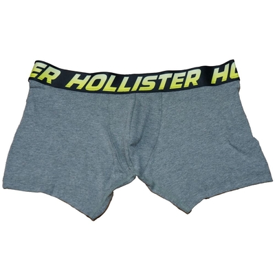 Hollister Co. HCO Hollister 男性內褲 單件 灰色 2255