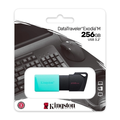 Kingston 金士頓 256GB DataTraveler Exodia M USB 3.2 隨身碟 DTXM/256GB