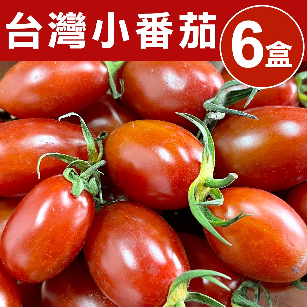 【甜露露】台灣小番茄6盒入(每盒1台斤±10%)