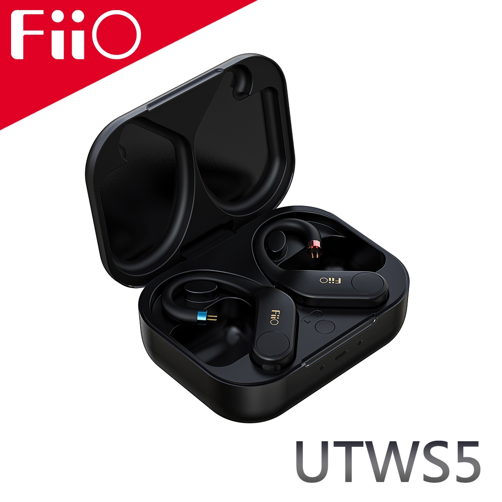 FiiO(フィーオ) UTWS5 2PIN バージョン2-