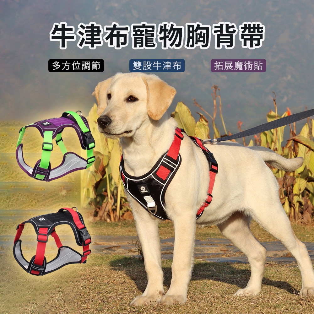 OMG 背心式大型犬反光胸背帶 牛津布寵物胸背帶 狗狗牽引繩（胸背帶+1.5M圓繩） | 提籠/背包 | Yahoo奇摩購物中心