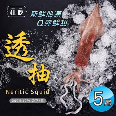 【狂吃】新鮮船凍野生透抽x5尾(獨立包裝 200g/尾 中卷)