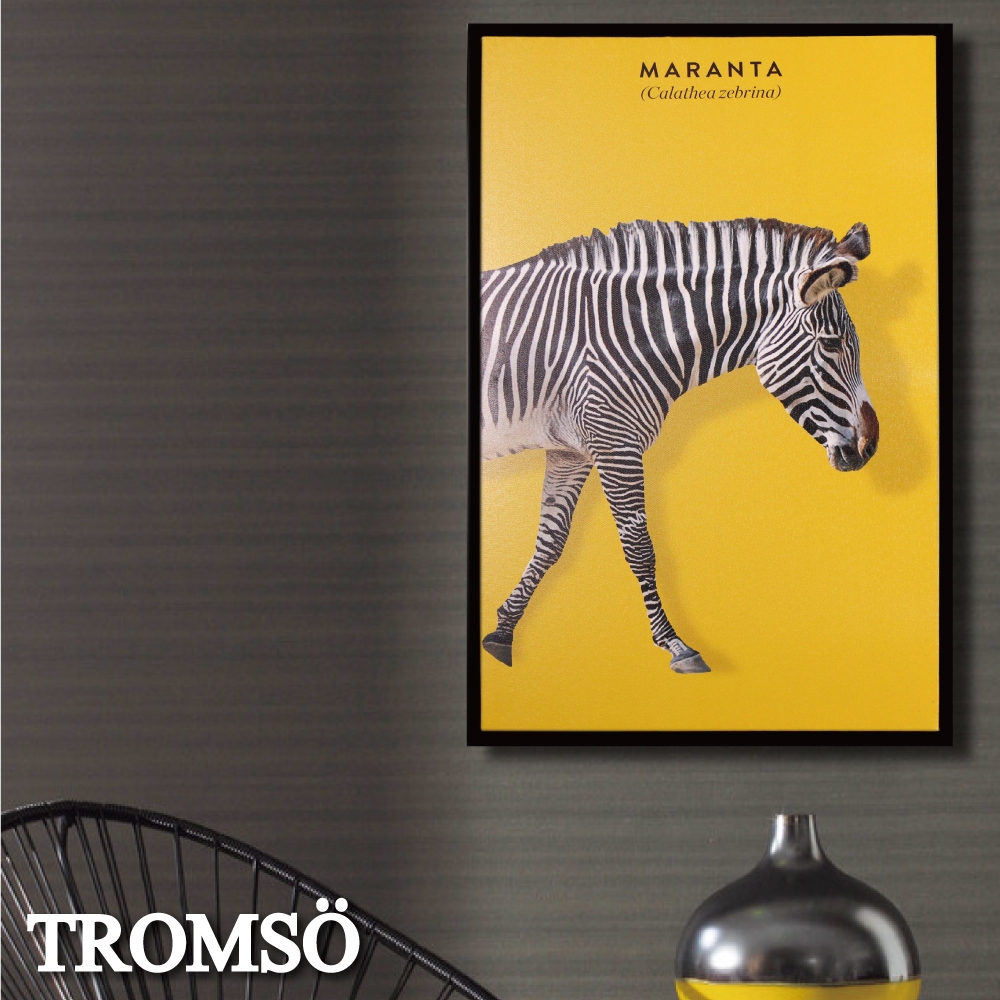 TROMSO 北歐時代風尚有框畫-摩登斑馬WA180