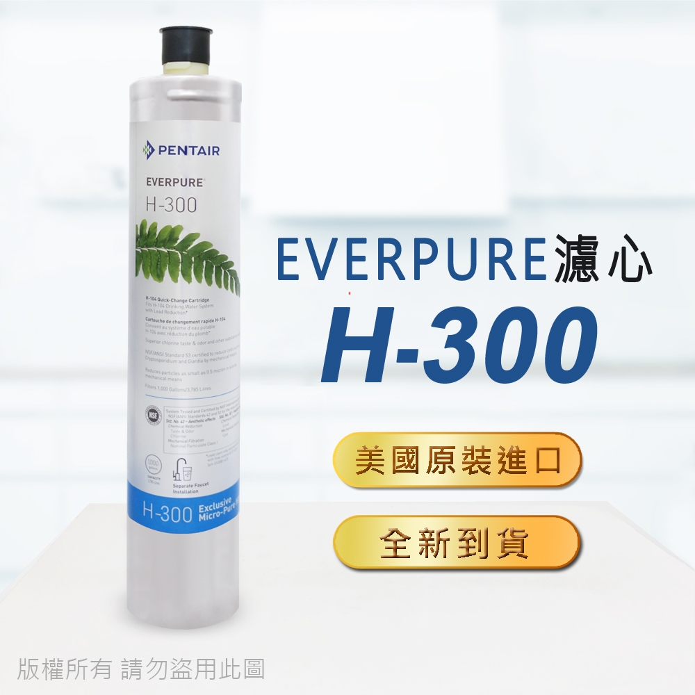 【Everpure】美國原廠平行輸入 H300 濾心