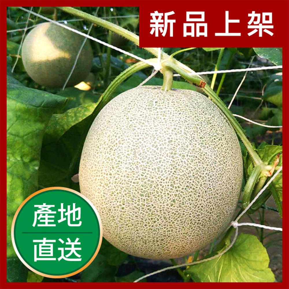 【果物配】台南13號洋香瓜禮盒．友善農法(3kg/2顆入)