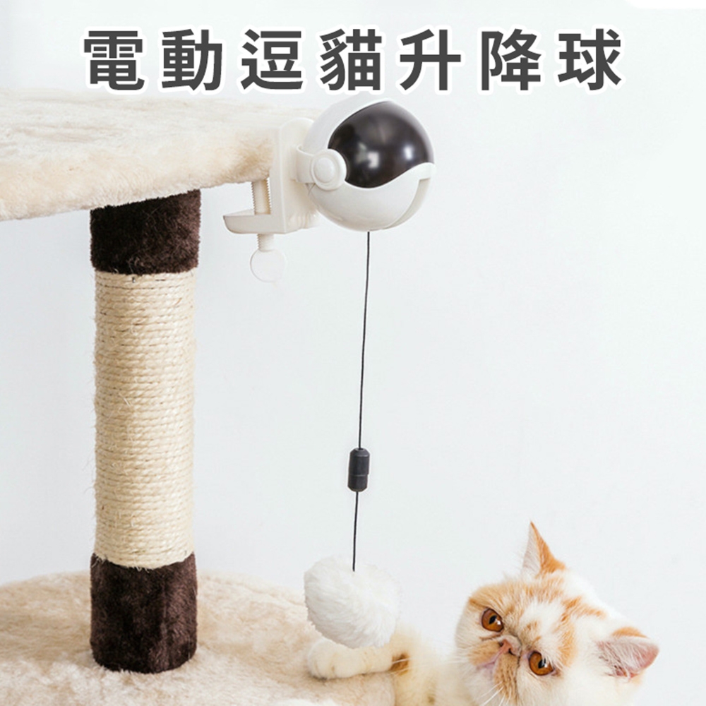 電動逗貓升降球 貓咪玩具 逗貓玩具