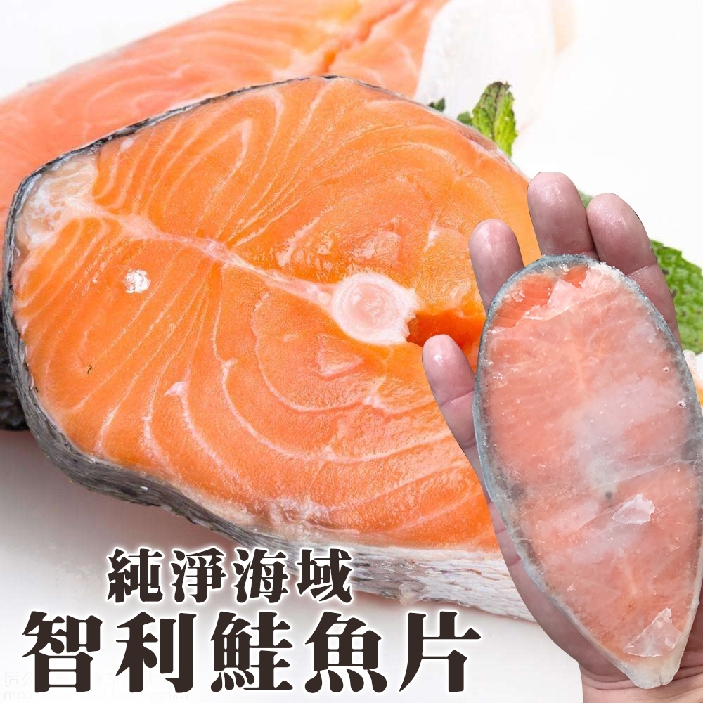 買5送5【海陸管家】鮮嫩智利鮭魚片 共10片(每片約100g)