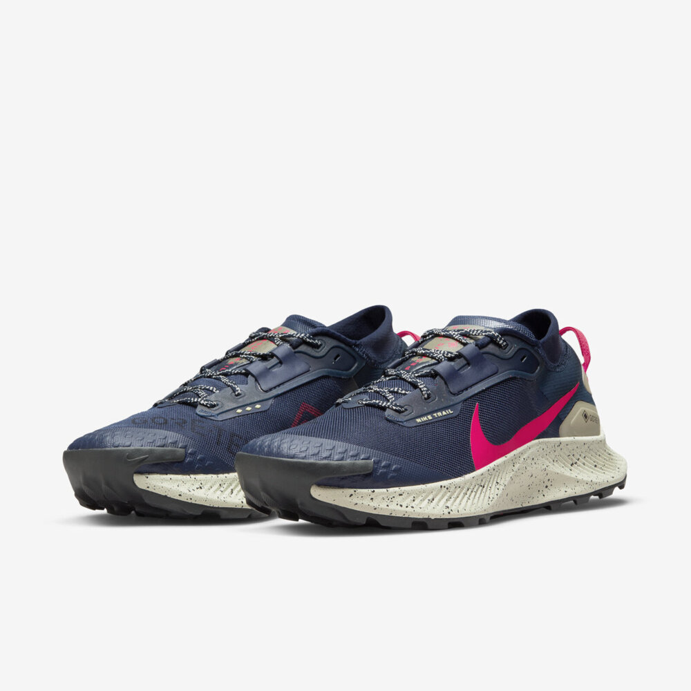 Nike Pegasus Trail 3 GTX [DC8793-401] 男慢跑鞋路跑運動越野防潑水