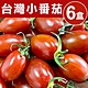 【甜露露】台灣小番茄6盒入(每盒1台斤±10%) product thumbnail 1