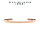 Daniel Wellington DW 手環 Classic Bracelet 經典簡約手環-玫瑰金SDW00400003 product thumbnail 2