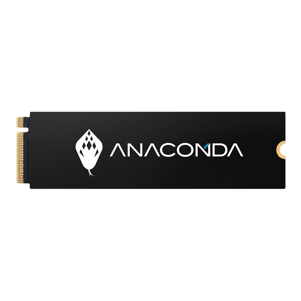 ANACOMDA 巨蟒 I2 256GB PCIe Gen3x4 NVMe SSD固態硬碟(三年保/免費維修到府收)