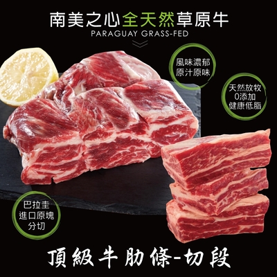 【豪鮮牛肉】草原之心天然牛肋條切段4包(500g±10%/包)