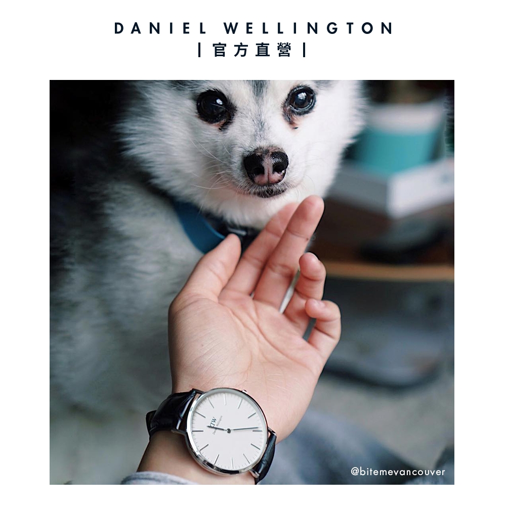 Daniel Wellington DW 手錶Classic Reading 40mm爵士黑壓紋真皮錶-白