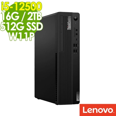 Lenovo ThinkCentre M70t (i5-13500/16G/1TB+512G SSD/W11P) | i5