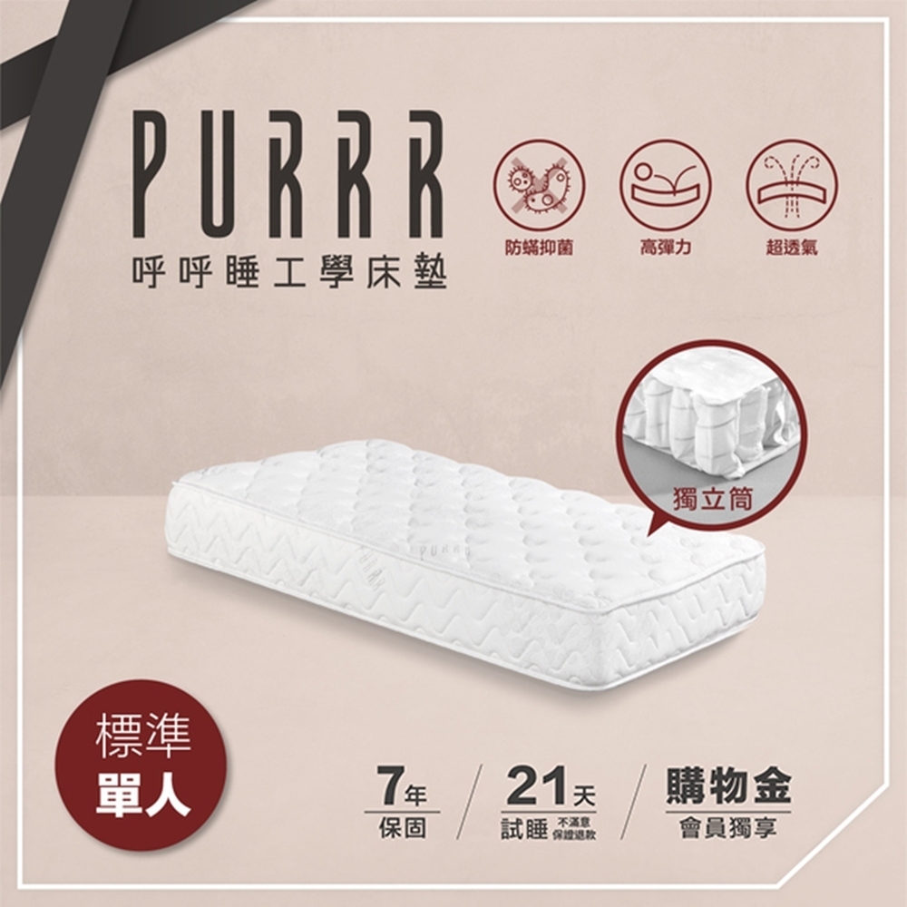 PURRR呼呼睡 | 獨立筒床墊 乳酪系列-標準單人