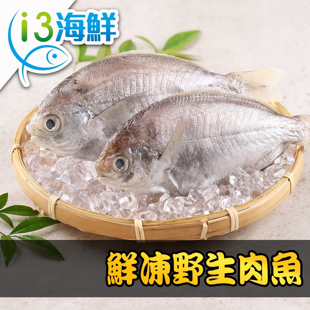【愛上海鮮】鮮凍野生肉魚6包組(180g±10%/包/兩尾一包)