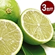 果之家 新鮮綠皮檸檬3台斤x1箱 product thumbnail 1