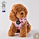 澳洲Pablo & Co 可調整式胸背帶 寵物胸背帶 狗狗胸背帶 更美麗彩虹 S product thumbnail 1