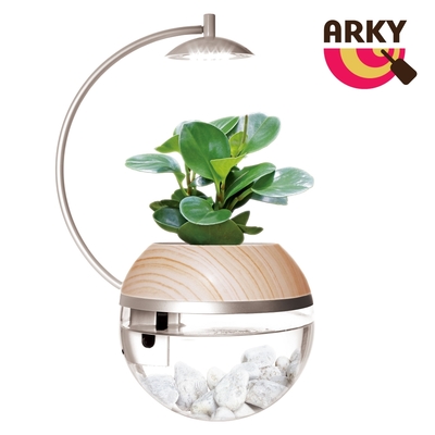 ARKY Herb City Pro 香草城市 進階版 馬達澆水x植物燈盆栽組(不含植物)