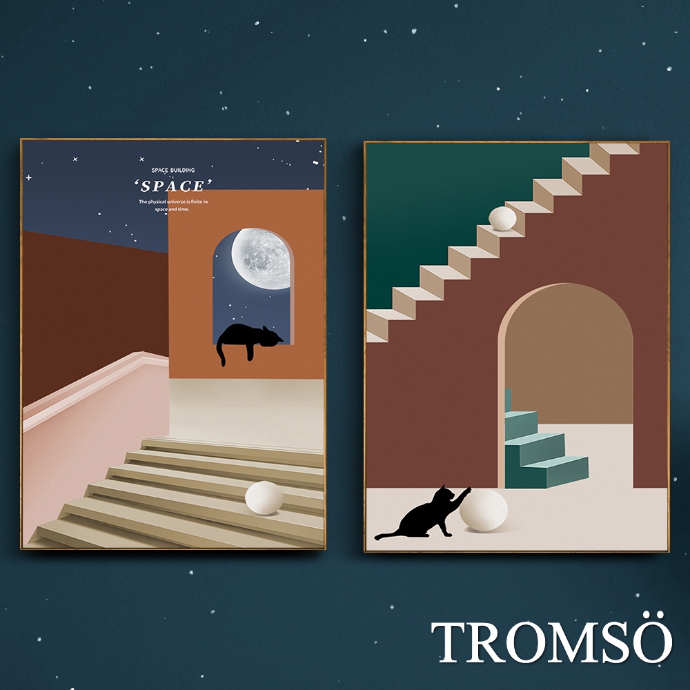 TROMSO北歐生活版畫有框畫-星空小貓WA202(二幅一組)