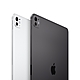 Apple 2024 iPad Pro M4 Wi-Fi 256G 13吋平板 product thumbnail 1