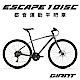 GIANT ESCAPE 1 DISC都會運動健身車(2022年式) product thumbnail 1