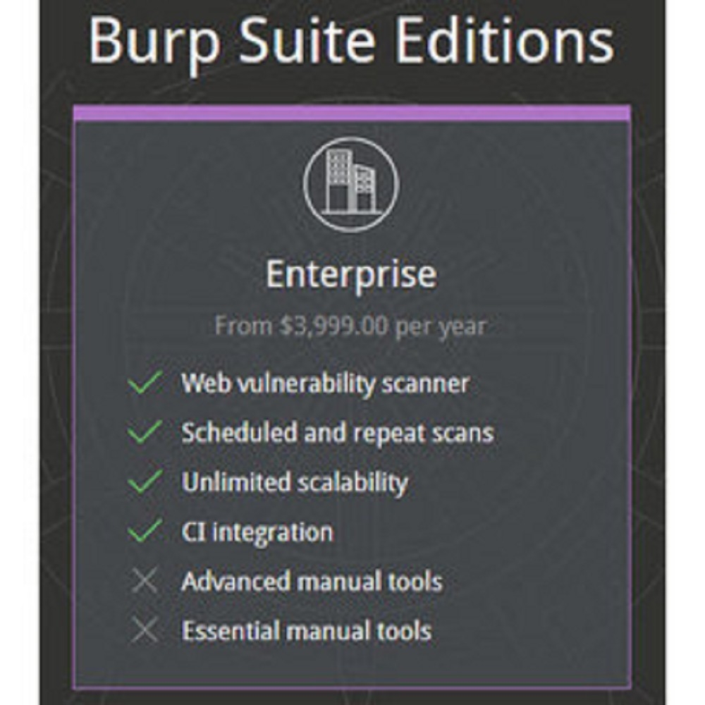 Burp Suite Enterprise (網頁弱點偵測) 企業版單機版 (5agent)(一年版) (下載)