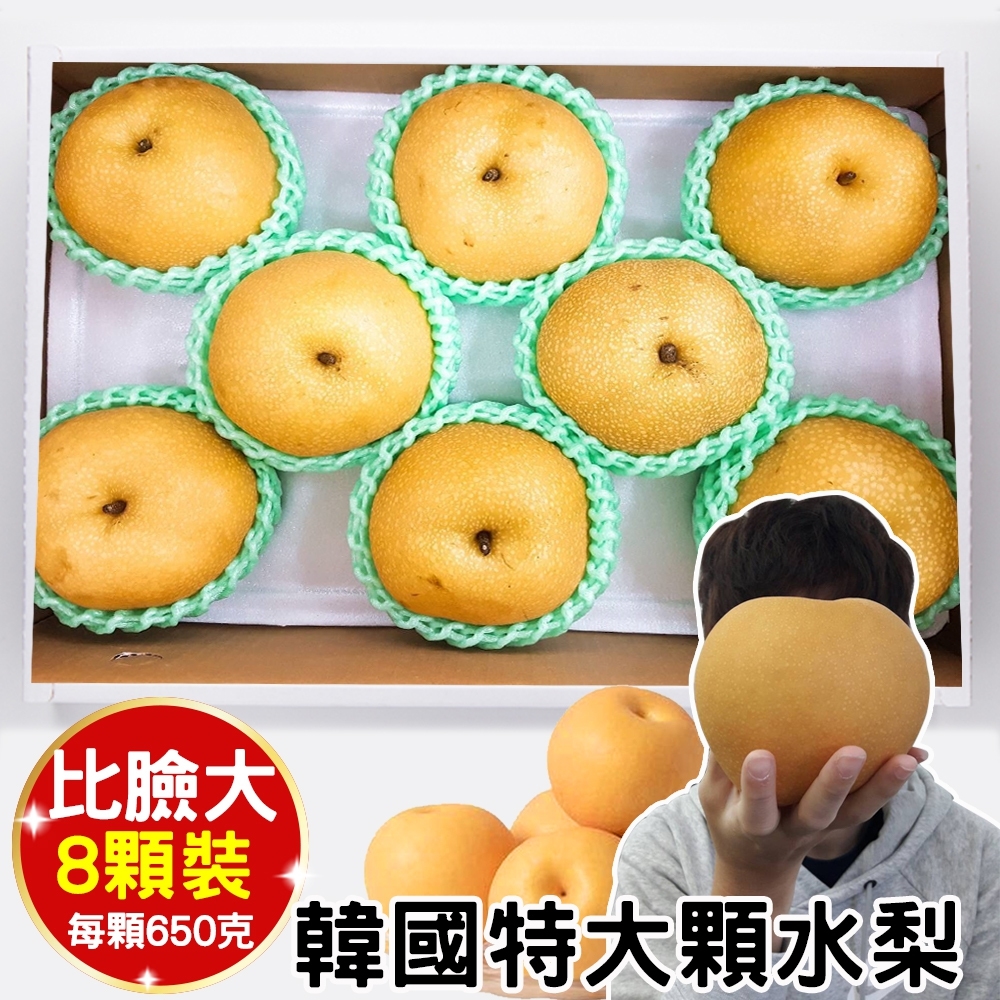 【天天果園】韓國超大顆水梨8顆(每顆約650g)
