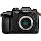 Panasonic GH5S 單機身 (公司貨) product thumbnail 1