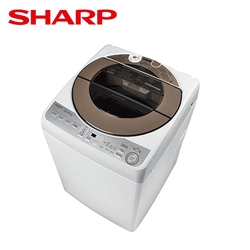 SHARP夏普 12公斤專利不鏽鋼無孔槽變頻直立式洗衣機(ES-ASF12T)