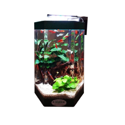 派樂大亨 創意無限生態水族缸魚缸(送LED燈+過濾器)