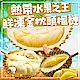 極鮮配  熱帶水果之王-鮮凍金枕頭榴槤X2包 (350g/包,2-4入) product thumbnail 1