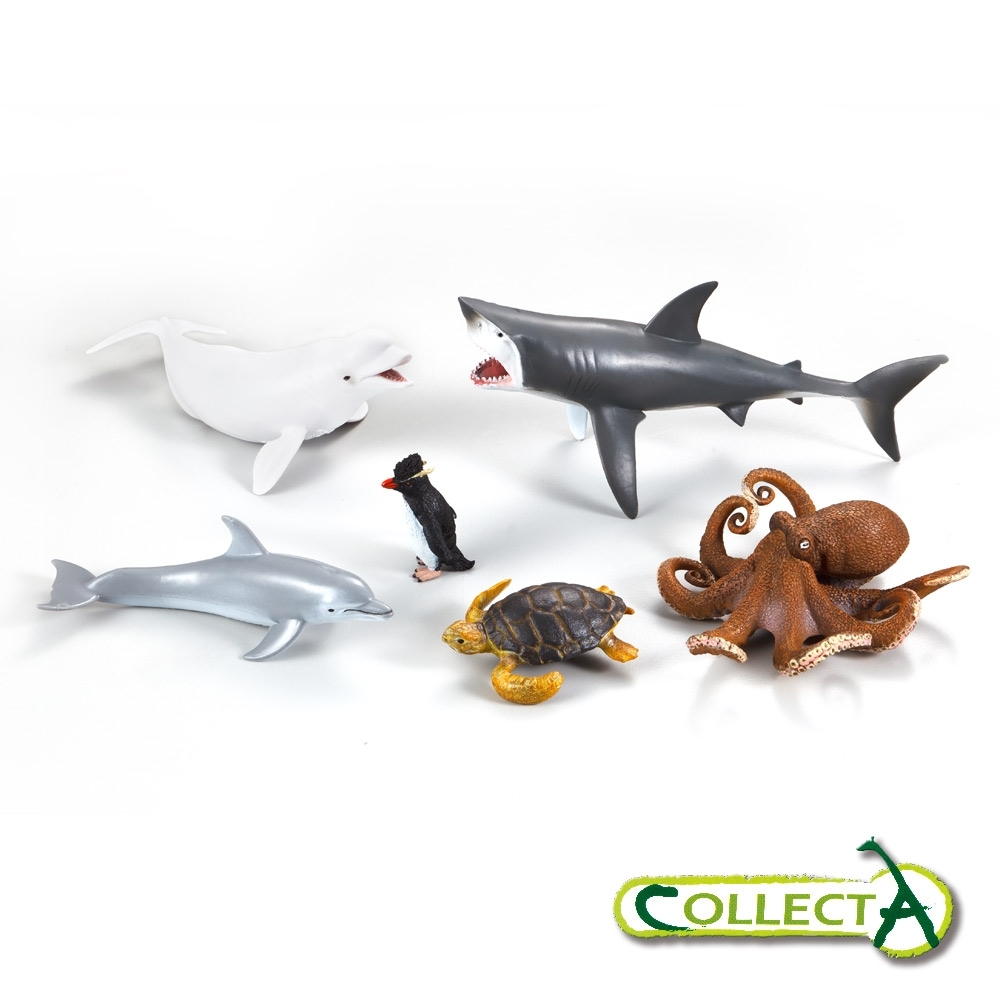 collectA 海洋動物禮盒組(6入)~英國高擬真模型R89868