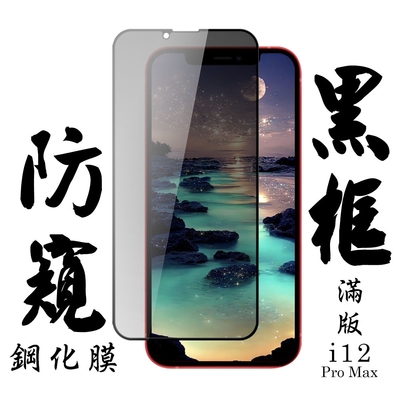 IPhone 12 PRO MAX 保護貼 日本AGC滿版黑框防窺鋼化膜(IPhone 12 PRO MAX 保護貼 鋼化膜)