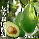 【幸福酪梨園】無毒酪梨5台斤x1箱(友善栽植) product thumbnail 1