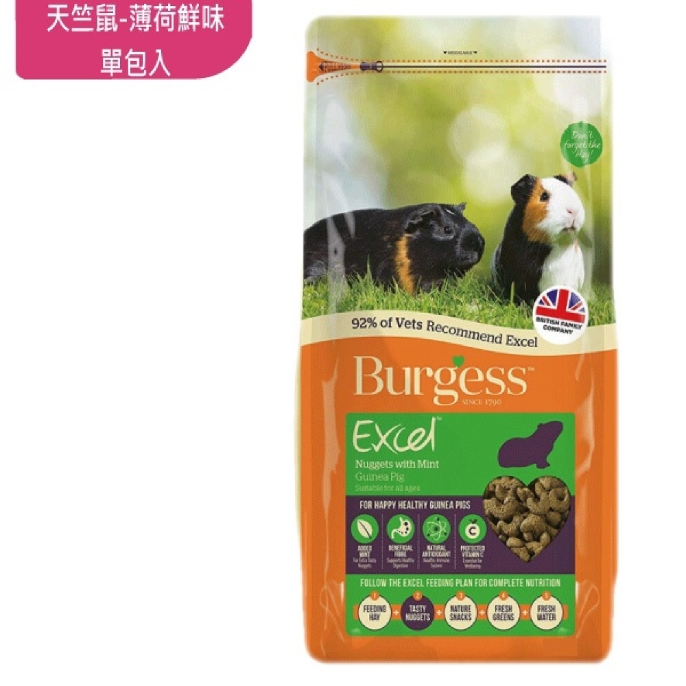 Burgess英國伯爵 - 天竺鼠飼料-薄荷鮮味 2KG-單包入