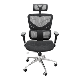 凱堡 路易高機能護腰強韌全網工學椅